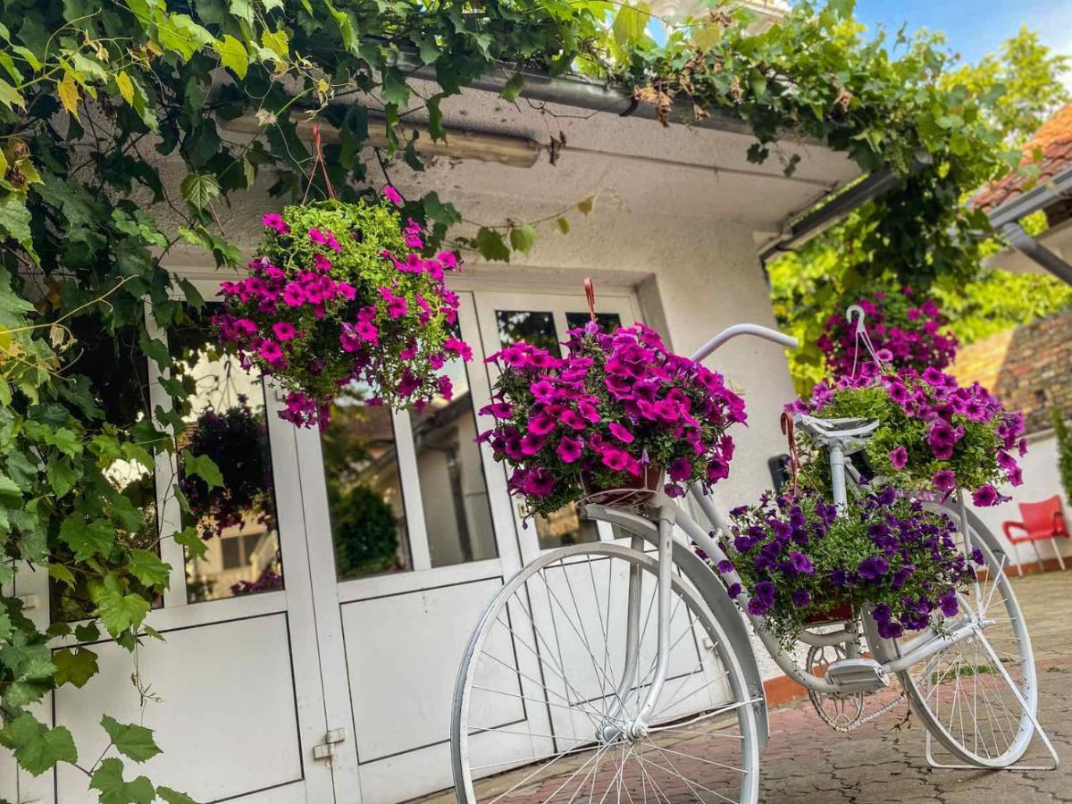 Apartments Vila White House Pančevo Εξωτερικό φωτογραφία